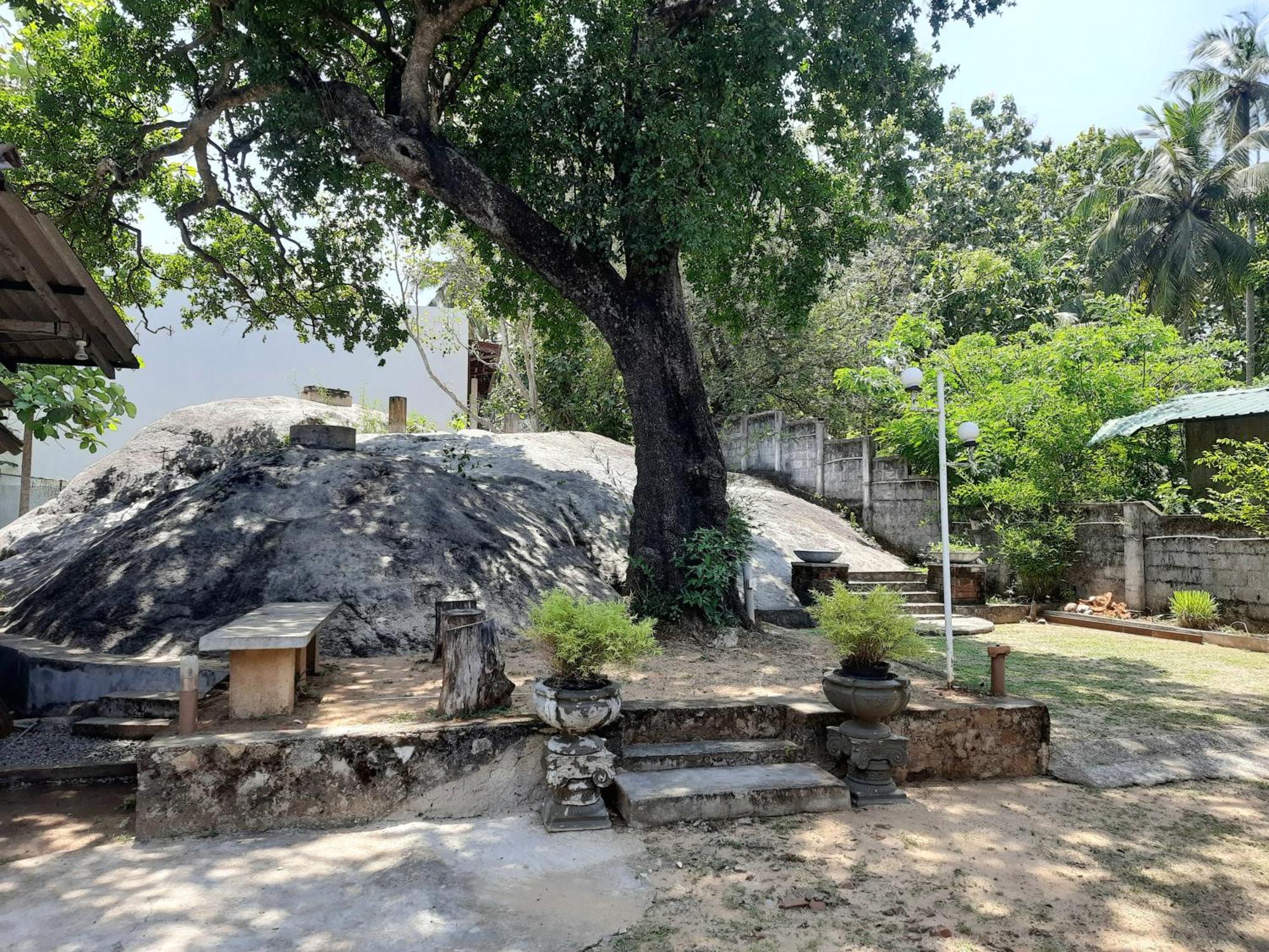 Selagala Resort Anuradhapura Eksteriør bilde